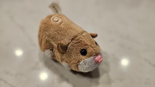 Zhu Zhu Pets Review Mr Squiggles by RyderRenegade 2024 Review [upl. by Stenger]