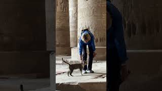 A visit to Hathors temple in Dendera near Luxor Egypt – lets put this light bulb myth to rest [upl. by Darelle]