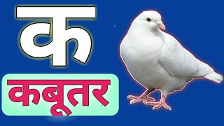 k se kabutarKamal hindi varnamala song [upl. by Noseaj]