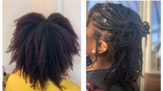 How To Start Locs With Two Strand Twists [upl. by Nosredneh]