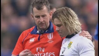 Referee Grand Master  Nigel Owens France vs South Africa 18 [upl. by Erdrich]