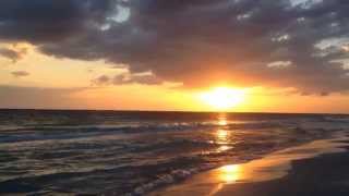 30 seconds of Anna Maria Island beach therapy  Bradenton Herald  Bradentoncom [upl. by Ellainad558]