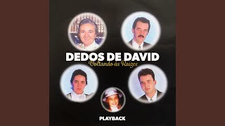 Divino Companheiro Playback [upl. by Sido]