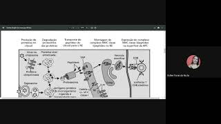 Resumo do Volume II da Disicplina de Imunologia CEDERJ [upl. by Brownley549]