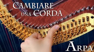 ARPA  cambiare una corda [upl. by Eberto464]