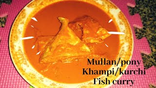 Mullanpony Khamphi Kurchi Authentic Mangalorean fish curry [upl. by Nobie]