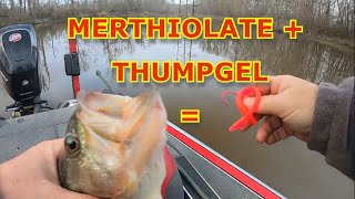 MERTHIOLATE  THUMPGEL BASS ROSS BARNETT [upl. by Smith]