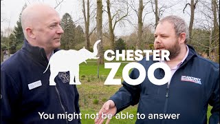 Animal Conservation  Antony Visits Chester Zoo [upl. by Aldus]