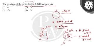 The genotype of the individual with B blood group is [upl. by Brogle]