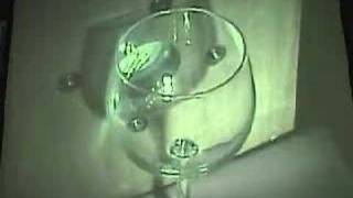 breaking a wine glass using resonance [upl. by Liatnahs840]