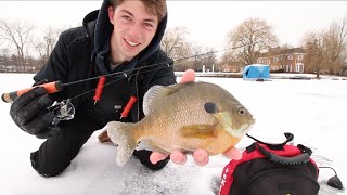 Jigging for Gills amp Crappie  A Day On The Ice [upl. by Haldan]