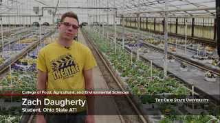 Internships at The Ohio State University Agricultural Technical Institute [upl. by Ag]