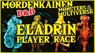 Eladrin Elf Player Race in Mordenkainen Presents Monsters of the Multiverse for Dungeons and Dragons [upl. by Blanche782]