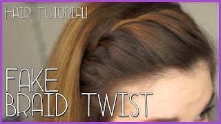 FAKE BRAID TWIST Tutorial [upl. by Hplodnar326]