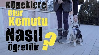 Köpeklere Otur Komutu [upl. by Atinrahc689]