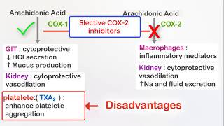 NSAIDs Ibuprofen and selective COX2 inhibitors Celecoxib [upl. by Nahshon]