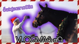 VLOGMAS 19 amp 20  ZIMOWA SESJA Z DILĄ  ŚWIĄTECZNY KOŃ [upl. by Truman]