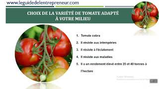 Comment bien planter ses tomates Conseil et astuces pour bien démarrer la culture des tomates [upl. by Armanda]