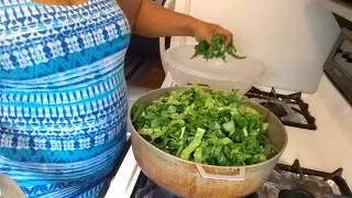 HOW TO COOK FRIED COLLARD GREENS  SOUTHERN COLLARDS GREENS [upl. by Anola725]