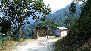 Sangser Village near Kalimpong ↑ K K Homestay ↓ Travel Vlog No 18 with Santanu Ganguly [upl. by Oxley]