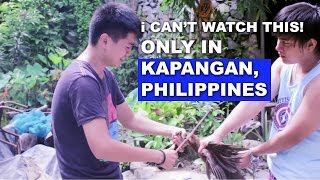 Kapangan The Secret of Benguet Documentary FILM FULL [upl. by Alison686]