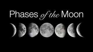 Fascinating Facts About the Moon  Moon Phases History and Future Exploration for Kids [upl. by Ainesy701]