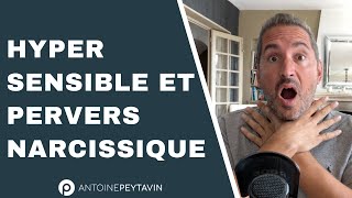 Hypersensible et Pervers Narcissique le couple maudit [upl. by Taggart]