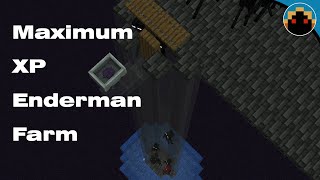 Enderman Farm for 1204  Maximum XP Rates [upl. by Manella937]