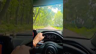 Drive into woods reels youtubeshorts shortvideo shorts nature travel trending song [upl. by Assylla]