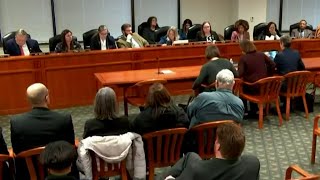 Michigan House approves gun law changes in wake of MSU mass shooting [upl. by Neehsas535]