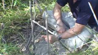 How to make a primitive trap the tbar snare wilderness survival traps [upl. by Avrit661]