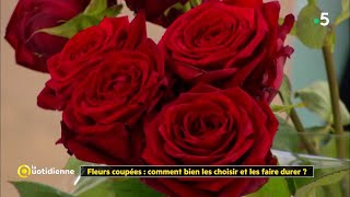 Fleurs coupées  comment bien les choisir et les faire durer [upl. by Frederique]