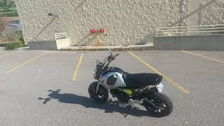 2023 Honda Grom Top Speed Test  Faster Than I Thought [upl. by Eyaj]