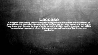 Medical vocabulary What does Laccase mean [upl. by Sochor]