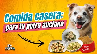 4 Recetas Rápidas y Económicas para Perros Ancianos  Comida Casera y Saludable [upl. by Riamo]