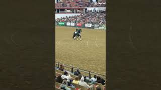 Midwest Horse Fair vid jesusislord equestrian horse horseriding trending godisgood fyp [upl. by Oflodor]