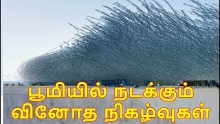 TOP 5 Strange Phenomenon’s that Happened In The World  Tamil  ClassicVideos  Episode 38 [upl. by Naujet805]