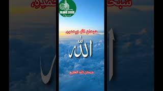 Subhanallahi wa bihamdihi subhanallahil Azeemquraan kalma shortsfeed [upl. by Sutherlan]