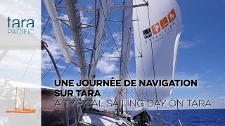 Tara Pacific Une journée de navigation sur Tara  A typical sailing day on Tara [upl. by Niatsirk]