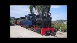 Mehrzugsbetrieb bei der Schinznacher Baumschulbahn 2882016 [upl. by Kehsihba]