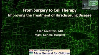 Alan Goldstein Improving the Treatment of Hirschsprung Disease [upl. by Argile924]