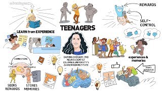 Teenage Brains Wired to Learn [upl. by Parrie]