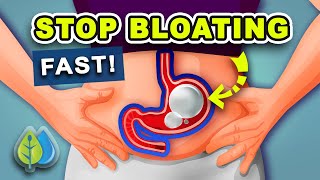 5 Ways to STOP Bloating Fast  How to Get Rid of Belly Bloating Fast [upl. by Fidele]