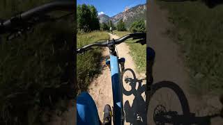 bardonecchia bikepark pinoyenduroteamtorino [upl. by Tabatha]