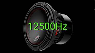 Tone frequency 12500Hz Test your hearing speakersheadphonessubwoofer [upl. by Noemad]