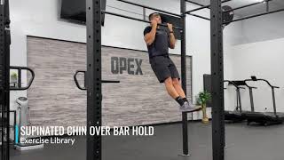 Supinated Chin Over Bar Hold [upl. by Eissalc]