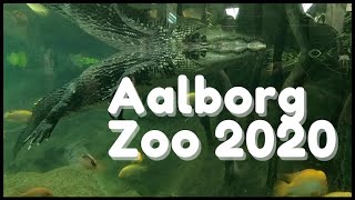 Aalborg Zoo 2020 [upl. by Adnohsat]