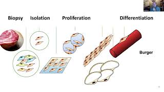Dr Mark Post Mosa Meat  CULTIVATE Seminar Sep 2022 [upl. by Pacien]