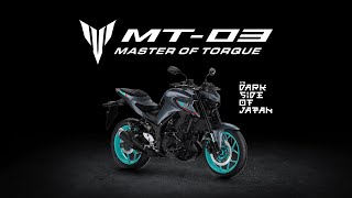 Quer saber o que somente uma Master of Torque tem [upl. by Vernor]