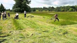 BCS mower vs scythe 2012 [upl. by Otrevogir997]